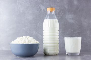 Various dairy products. Healthy dairy products on a gray background. Milk and cottage cheese. Copy space