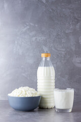 Various dairy products. Healthy dairy products on a gray background. Milk and cottage cheese. Copy space