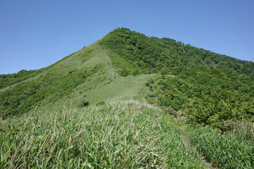 Fototapeta premium 日本の岡山県の下蒜山
