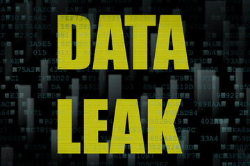 this is the danger of data leakage in information technology