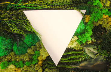Banner with green reindeer moss and leaves. Exotic botanical design for cosmetics, spa, perfume,...