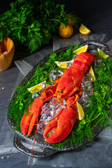 the cooked lobster on ice