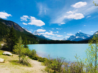 Naklejka premium Waterfowl Lake, Icefields Parkway, Canada