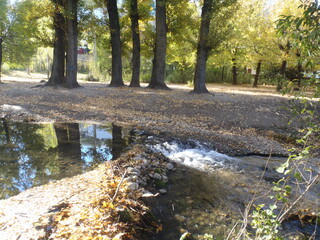 autumn in the park