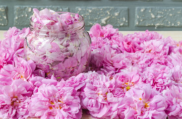 pink tea roses on table