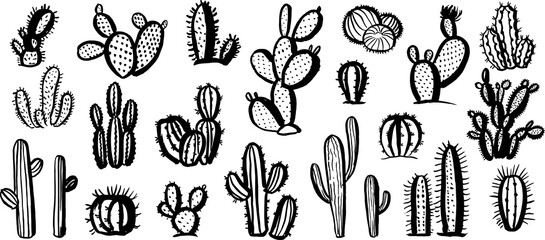 Set of cactus. Hand drawn illustration. Isolated elements for design.