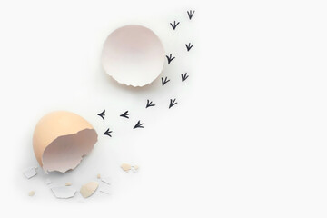 Footprints from an egg shell. First steps of a chick on a white isolated background. Concept of way...