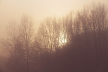 Fototapeta na wymiar hazy winter sunrise
