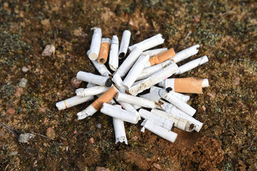 A lot of burnt cigarette butts with some ash. Smoking as a global social problem. Nicotine addiction, anti-smoking.