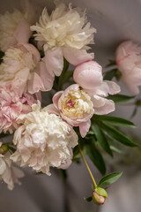 a bouquet of pink peach beige white delicate peonies