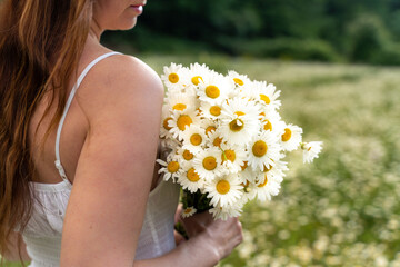 Obraz na płótnie Canvas A girl in a white sundress holds a bouquet of white daisies in her hand on a large chamomile field against the background of a forest. Country walk, picnic.