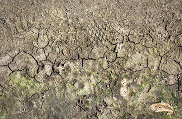 Cracked and dried earth with grass