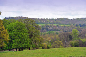 The parkland at Basildon Park, at Lower Basildon, Reading, Berkshire.