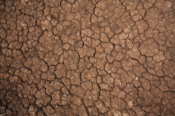 dry soil texture