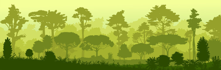 Forest jungle vector. Silhouette. Landscape, view of the tropical thicket. Trees, shrubs. Wet predawn fog. Background image.