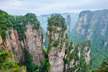 Fototapeta na wymiar Famous tourist attraction of China - Avatar Hallelujah Mountain in Zhangjiajie stone pillars cliff mountains at Wulingyuan, Hunan, China