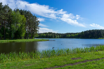Calm lake in Druskininkai park, Lithuania