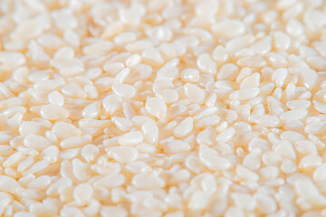 Light background with scattered sesame seeds at high magnification and an empty white background