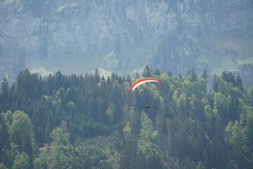 A lonely paraglider on the background of forest and mountain landscape im Engelberg region Obealden vanton Switzerlan