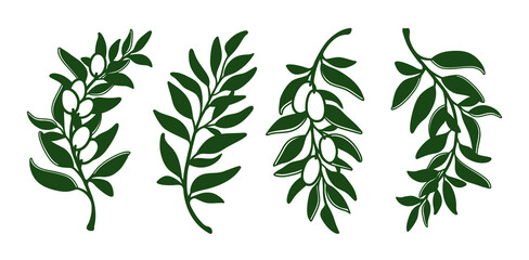 Laser cutting template of leaves, branches and olives. Set of hand drawn floral design elements isolated on white. Vector foliage silhouette of herbs. Ecology art for wood carving, stamp for die cut