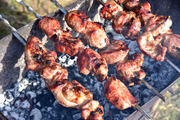 Cooking meat on the grill. Fried food over charcoal. Barbecue weekend. Meat languor at low temperature with smoke from logs. Grill in the open air