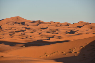 Fototapeta na wymiar Sahara desert trip orange sand