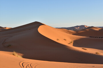 Sahara desert trip orange sand