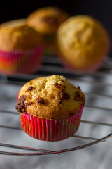 homemade chocolate cupcakes