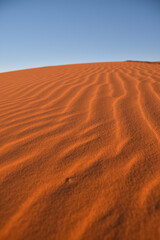 Sahara desert trip orange sand