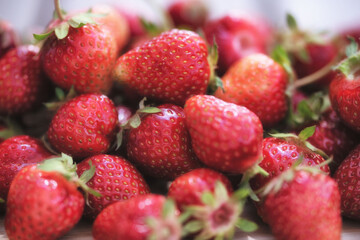 Frische Erdbeeren