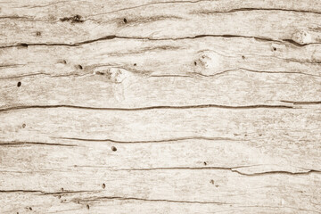 Obraz premium Natura brązowy tekstura drewna deska bez szwu ściana i stary panel tapeta z słojów drewna. Drewniany wzór naturalnego rustykalnego projektu zasobów. Letnia powierzchnia z jasnego drewna tekowo-sosnowego. Sklejka stołowa z dekorem.