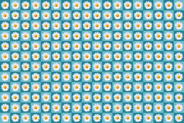 pattern with plenty daisy blossoms on blue colored background