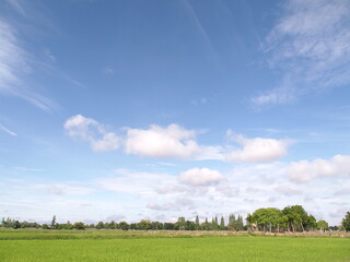green field and blue sky