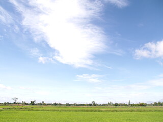 green field and blue sky