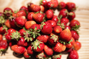 Erdbeeren in der Sonne