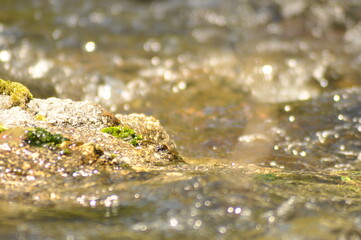 Fast flowing mountain river water in sunny spring day, macro detail