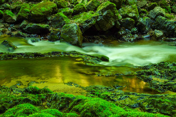 Forest stream running over mossy rocks. Filtered image: colorful effect.
