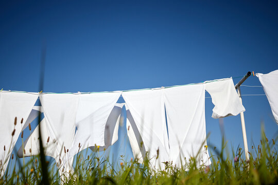 clean white clothes hanging on a rope moved by the wind in green meadow