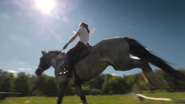 Gray Horse And It's Female Rider Jumping Over Barrier In Green Field. Wide Low Angle View. Slow Motion, 4K UHD.