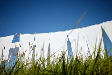 clean white clothes hanging on a rope moved by the wind in green meadow