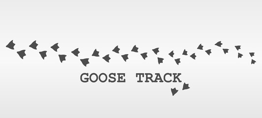 Vector illustration of a trace of a goose or duck on a light gray background.
