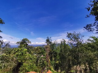 Obraz premium Beautiful green forest and blue sky above during a trekking in Tambunan, Sabah. Malaysia, Borneo. The Land Below The Wind.