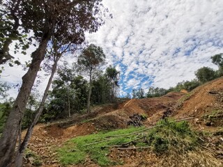 Beautiful green forest and blue sky above during a trekking in Tambunan, Sabah. Malaysia, Borneo. The Land Below The Wind.