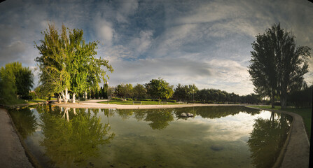 reflection sun sunset park tree reflection sun © alva