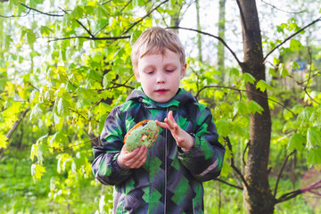 The child licks his sticky hands. Baby boy holds a delicious doughnut in the forest in spring.