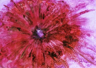 Obraz premium red aster abstract background