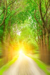 Zelfklevend Fotobehang Motie wazig landelijke onverharde weg en groen boslandschap. © ABCDstock