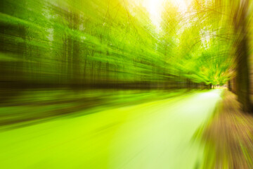 Motion blurred green forest channel.
