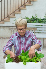  Gardening senior woman, activity stimulating mental health