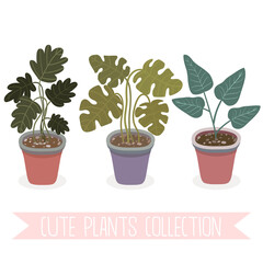 Different potted plants collection. Hand drawn home plants illustrations. Vector set of house indoor plants.